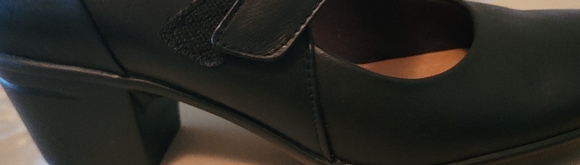 Clark's pump - Picture 4 of 4